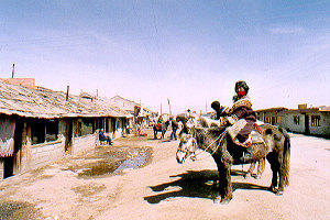 Hauptstraße in Zoige